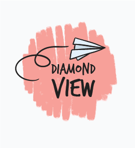 Diamond View Elementary School